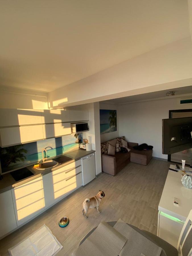 Apartament Edu Beach Resort Năvodari المظهر الخارجي الصورة